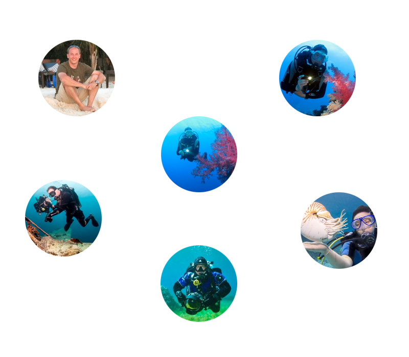 Image layer