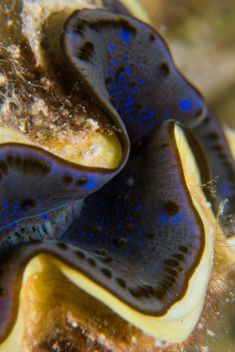 Hurghada - Erg Sabina 1875624