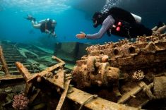 Hurghada - Abu Ramada South 1875627