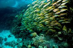 Hurghada - Gota Abu Ramada - West 1875630