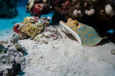 Hurghada - Gota Abu Ramada - West 1875630