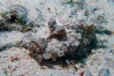 Hurghada - El Erouk Maksour 1875632