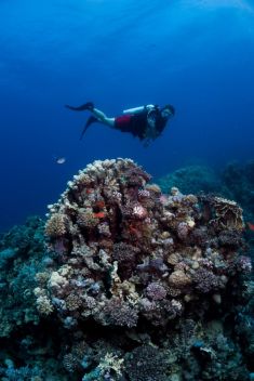 Hurghada - Shaab Sabina 1875636