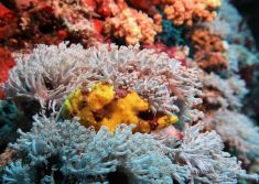 3871970