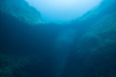 4126990