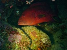 80570
