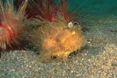 1743771
