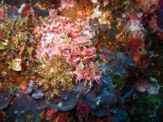 357748