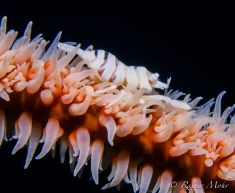 1009891