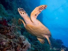 1683280