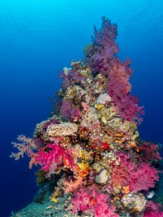3188524