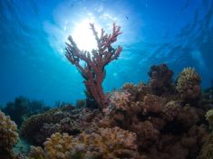 612256