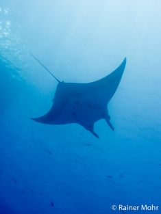 862679