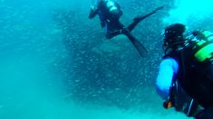 4110386