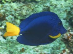 188671