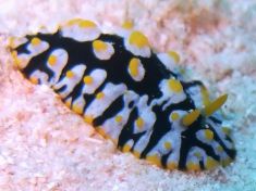 188673