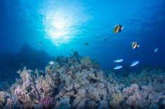 625602