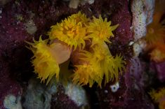 846253