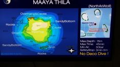 1530514