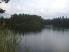 263288