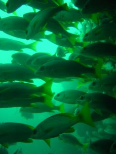 290446