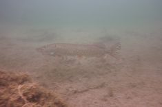 2508380