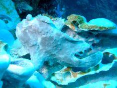 249554