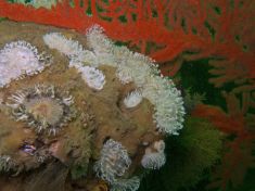 1089258
