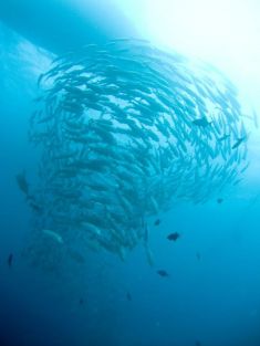 149891