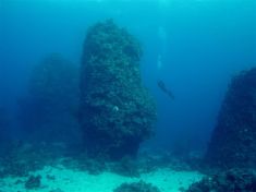 228470